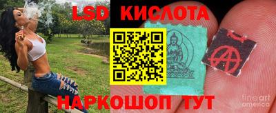 ГАЛЛЮЦИНОГЕННЫЕ ГРИБЫ Апшеронск