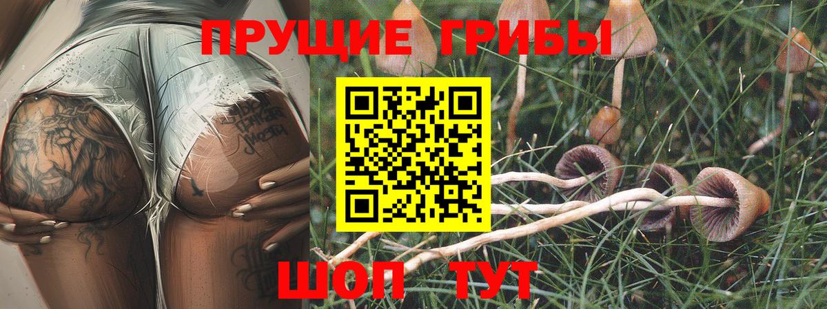 Галлюциногенные грибы MAGIC MUSHROOMS  Вход с VPN  Псилоцибиновые грибы MAGIC MUSHROOMS  Избербаш 