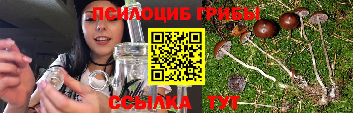 Псилоцибиновые грибы GOLDEN TEACHER Избербаш