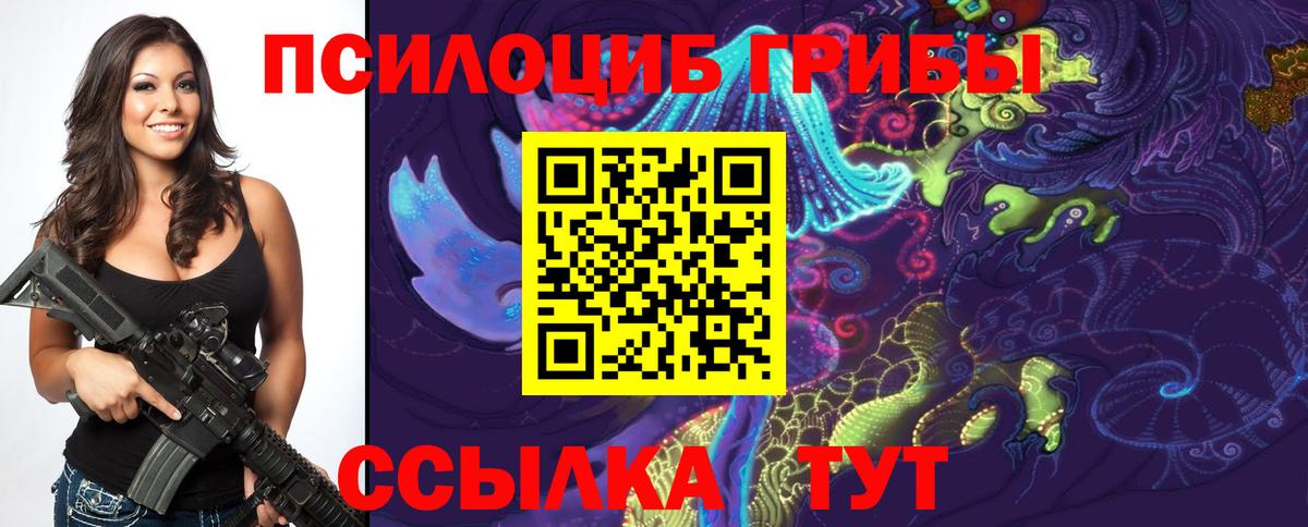 Псилоцибиновые грибы ЛСД  купить   Избербаш 