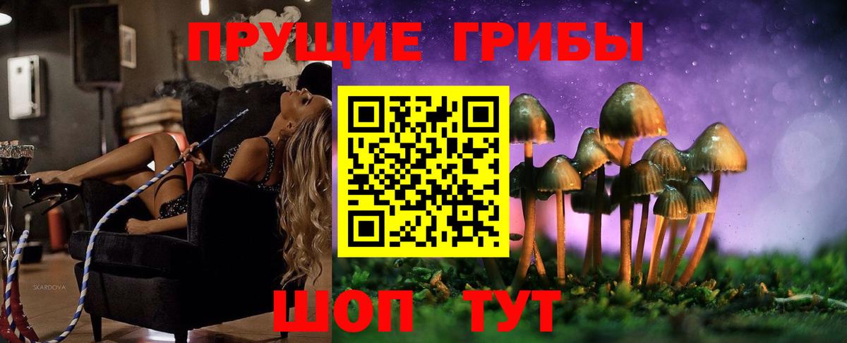 Псилоцибиновые грибы Magic Shrooms Избербаш